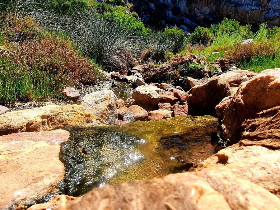 2 Bedroom Property for Sale in Swellendam Rural Western Cape